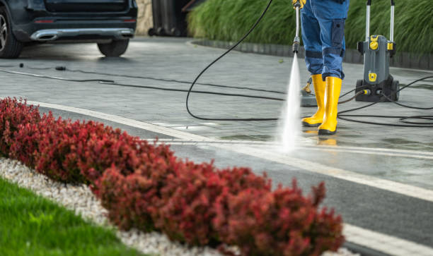 Best Driveway Cleaning and Restoration in Talty, TX